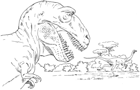 Tyrannosaurus And Rex Coloring Page